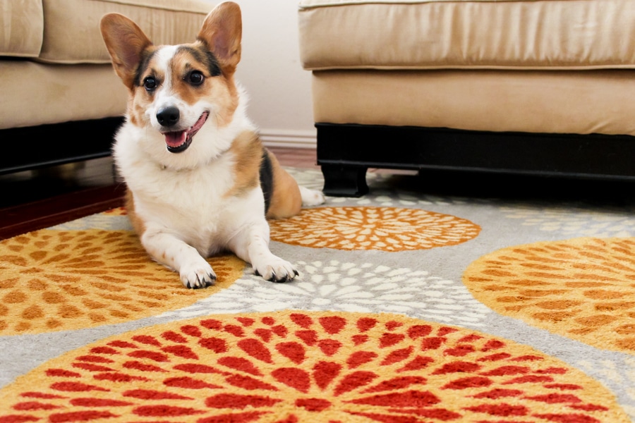 Living room makeover: Area rug from Mohawk Homes
