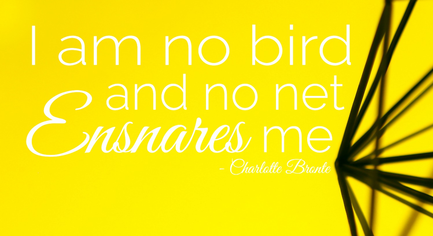 I am no bird and no net ensnares me - Charlotte Bronte Quote