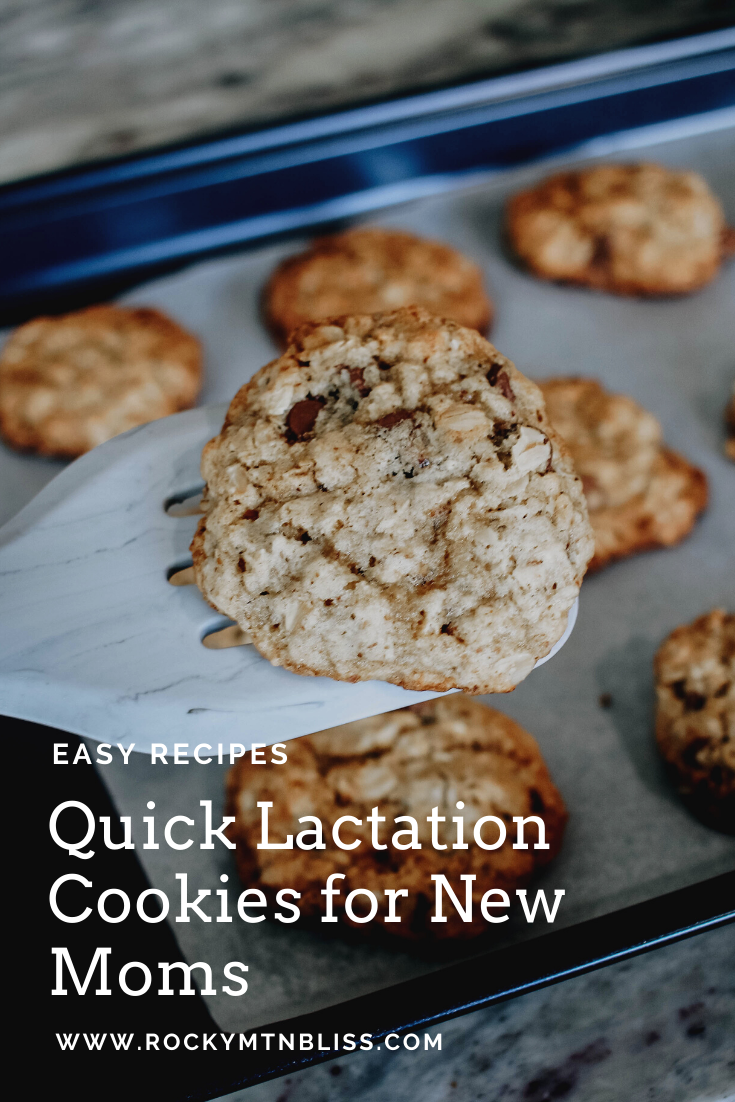 Lactation Cookies with Wilton Bakeware